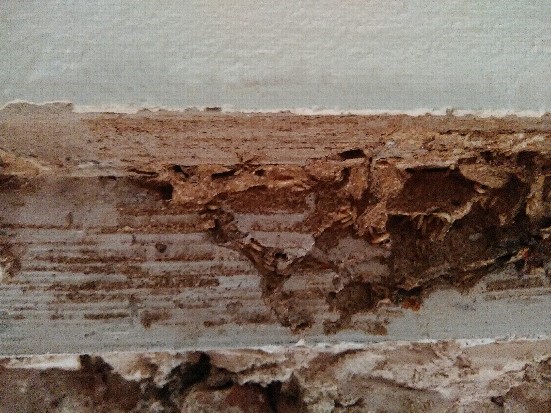 Termite 5